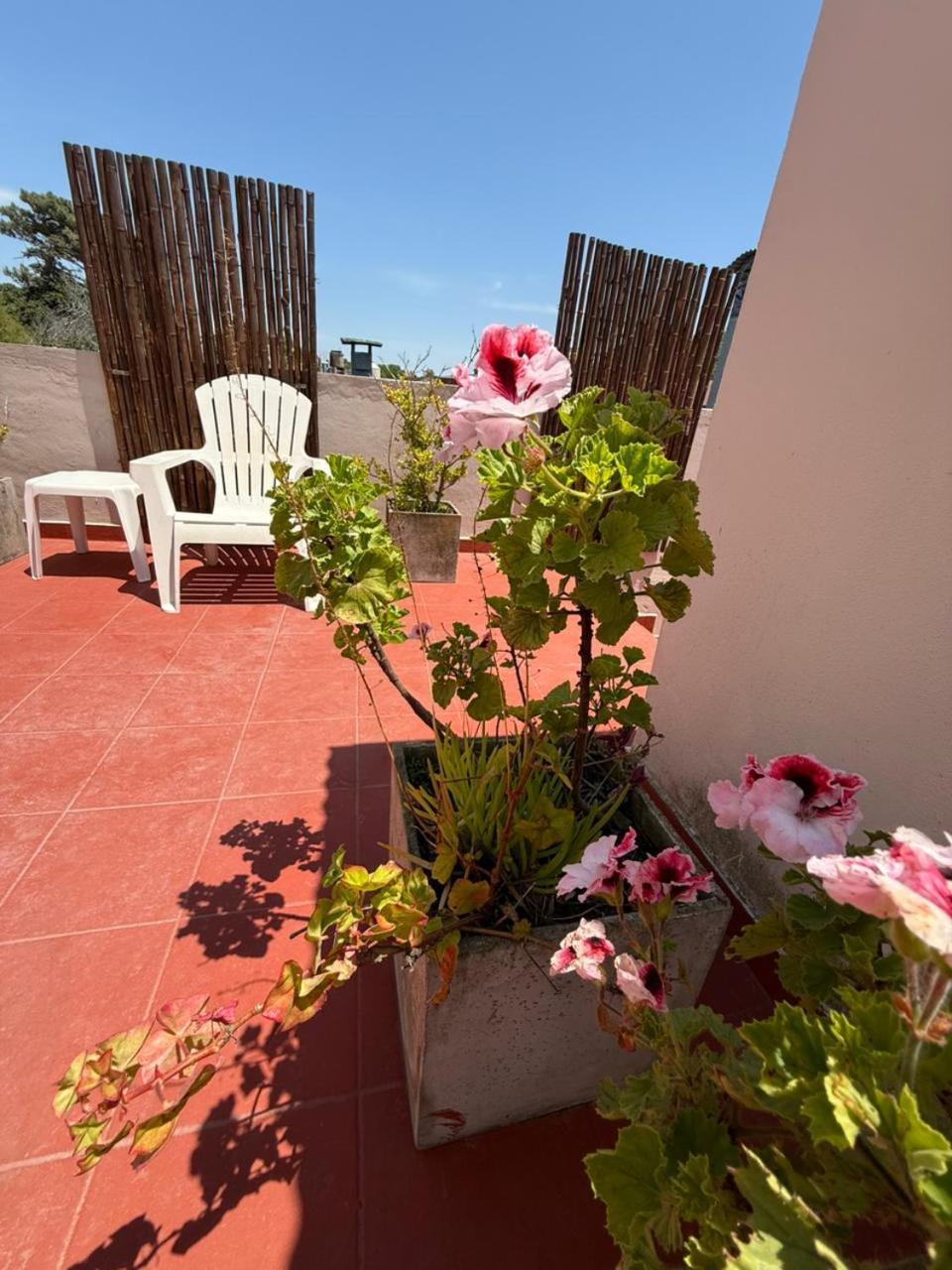 Hotel Boiano บียาเจเซลล์ ภายนอก รูปภาพ